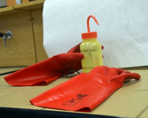 Zátiší s rukavicemi